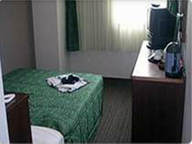 Hikone Biwako Hotel Экстерьер фото